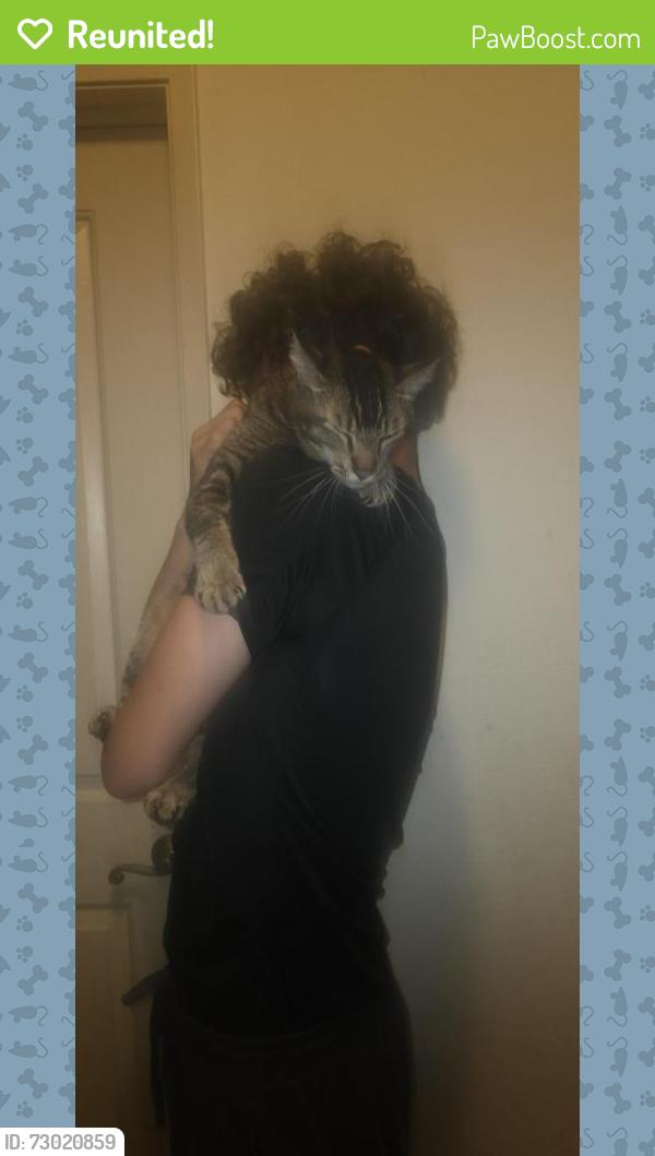 Reunited Male Cat last seen Timberbrook and Woodside, Antioch, CA 94531
