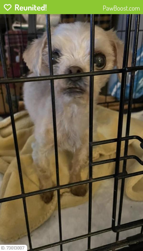 Reunited Unknown Dog last seen Found running down NW School Road across from the high school at 11 PM last night, Greensboro, NC 27409