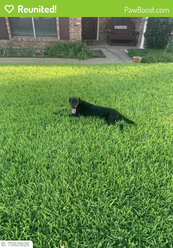 Reunited Male Dog last seen Near Boxwood Ct, Euless, TX 76039, USA, Euless, TX 76039