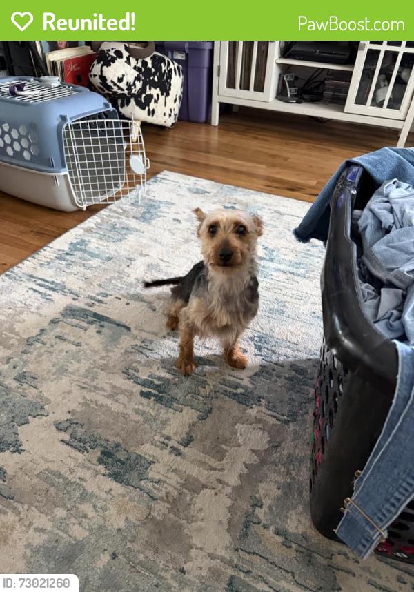 Reunited Male Dog last seen NE 175th Ave, Portland, OR 97230, USA, Portland, OR 97230