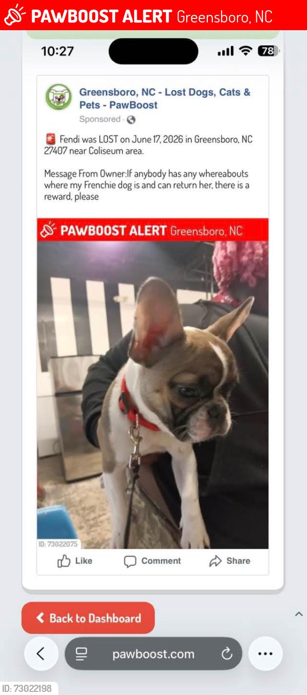 Lost Female Dog last seen Coliseum area, Greensboro, NC 27407