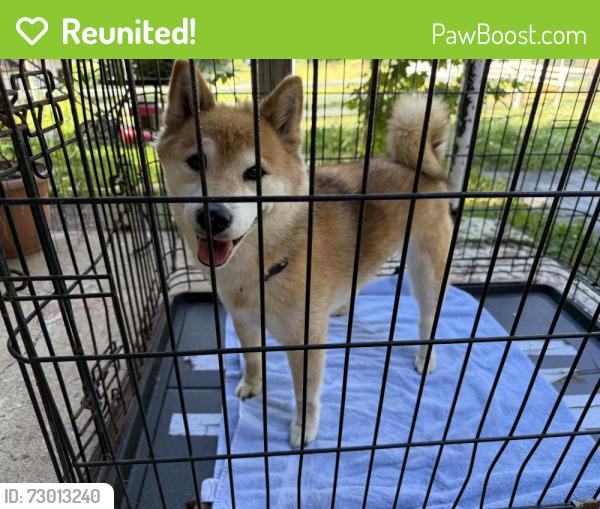 Reunited Female Dog last seen Shelton Shop Road, Stafford County, VA 22556