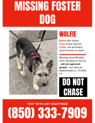 Lost Male Dog last seen SRM Concrete, Plano, TX 75252