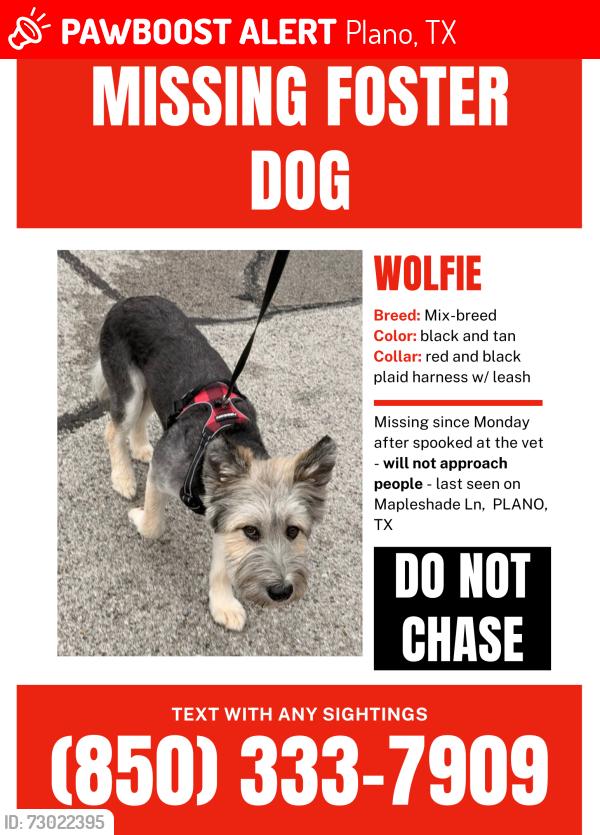 Lost Male Dog last seen SRM Concrete, Plano, TX 75252