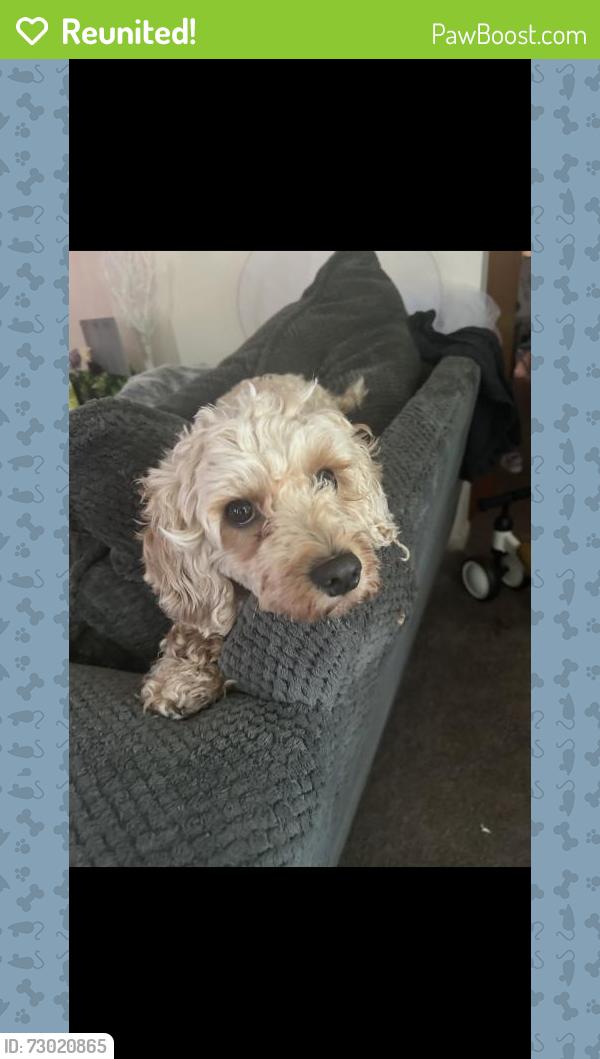 Reunited Male Dog last seen Church Rd, Winslow twp, NJ 08081, USA, Winslow Township, NJ 08081