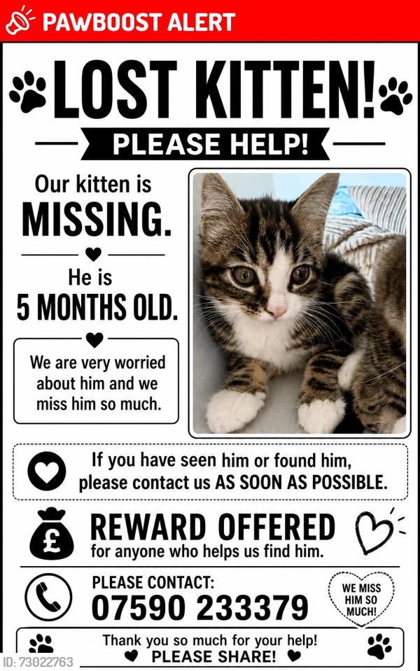 Lost Male Cat last seen Near Crowntree Close , Greater London, England TW7 5PF