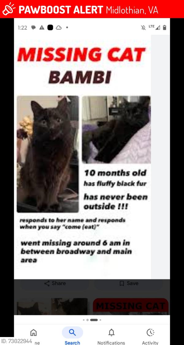 Lost Unknown Cat last seen Near katrina crt, Midlothian, VA 23113