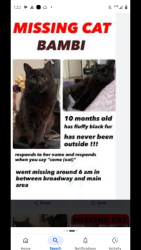 Lost Unknown Cat last seen Near katrina crt, Midlothian, VA 23113