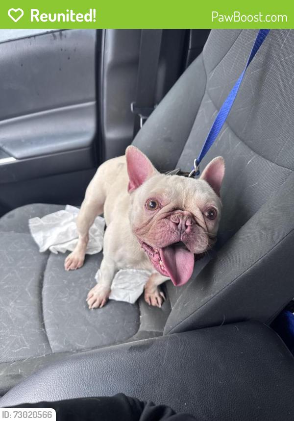 Reunited Male Dog last seen Oakland and Styvesant St, Union, NJ 07083