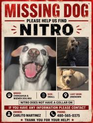 Reunited Male Dog last seen Southern & Dobson, Tempe, AZ 85282