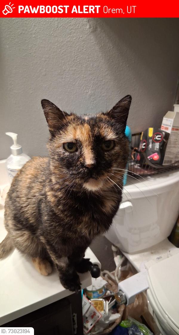 Lost Female Cat last seen Harmon's, 400 E, 800 N, Orem, UT 84097
