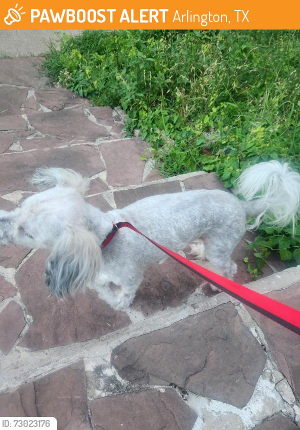 Found/Stray Male Dog last seen Watson dr , Arlington, TX 76010