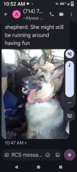 Reunited Female Dog last seen Harbor and wilken way, Anaheim, CA 92802