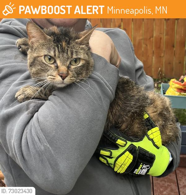 Found/Stray Female Cat last seen Cedar Lake & Idaho, St Louis Park, Minneapolis, MN 55426