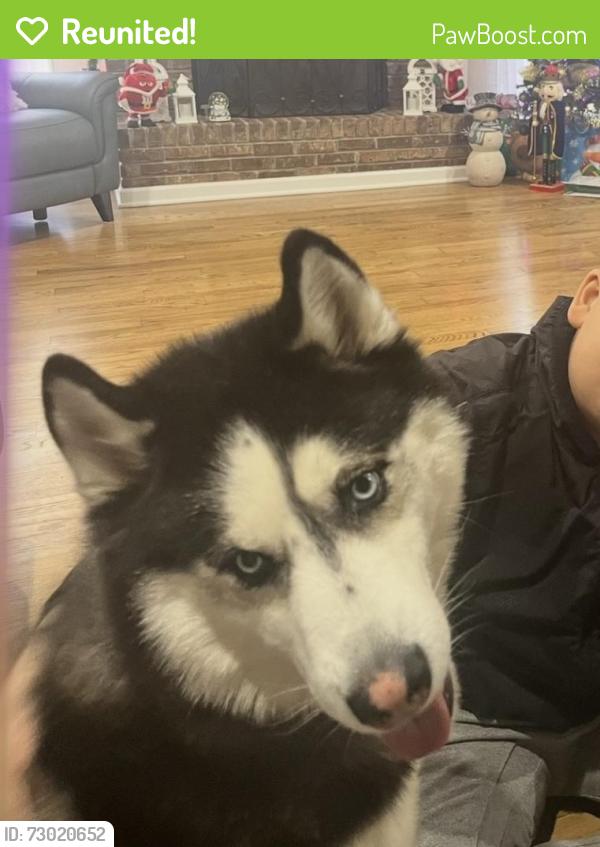 Reunited Male Dog last seen Dogwood Road, Snellville, GA 30078