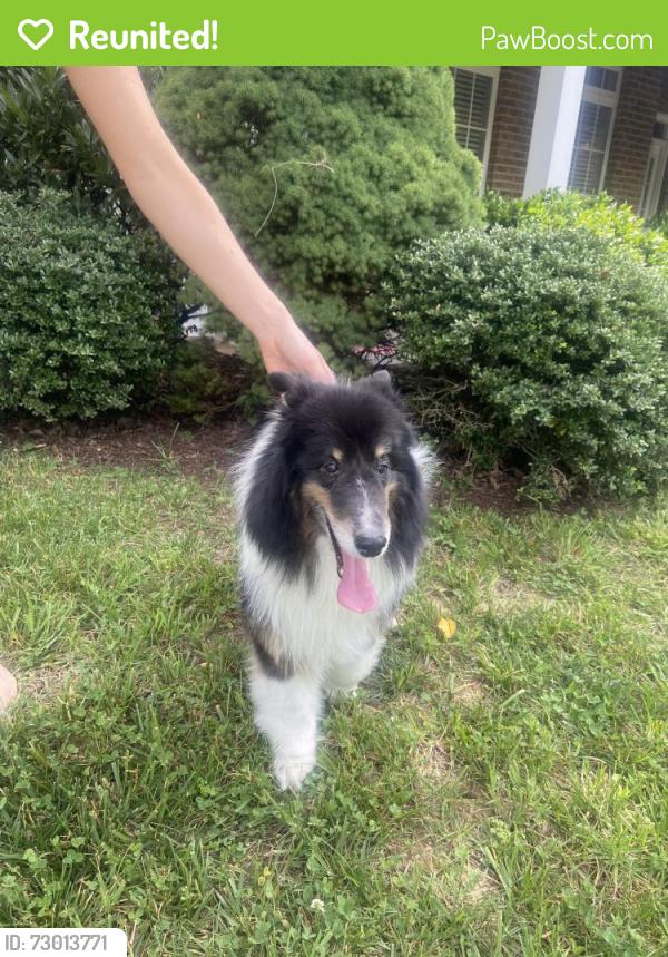 Reunited Male Dog last seen Calvert Lane & Tazewell Pike, Knoxville, TN 37918