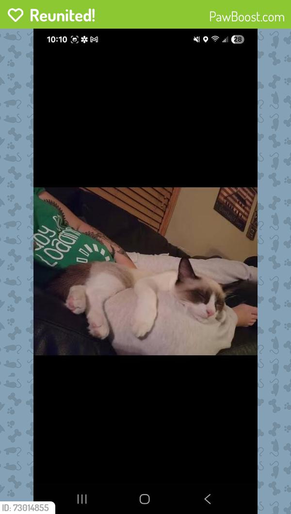 Reunited Male Cat last seen 90th street sturtevant , Sturtevant, WI 53177