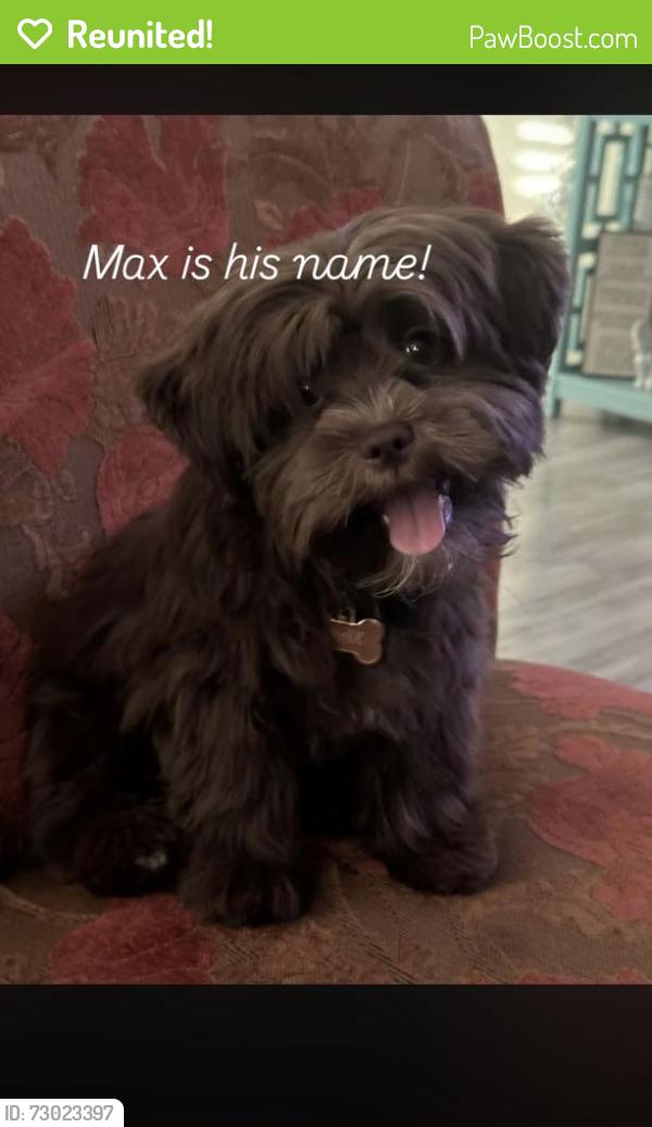 Reunited Male Dog last seen Near Riley court concord ca , Concord, CA 94520