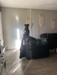 Lost Male Dog last seen Orchard, Vacaville, CA 95688