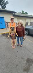 Reunited Female Dog last seen At the end of culdasac/ swimming  hole at Douglas lake behind the cement barrier  swimming with a family and kids says a witness was possibly taken she's very friendly  and social , Sevierville, TN 37876