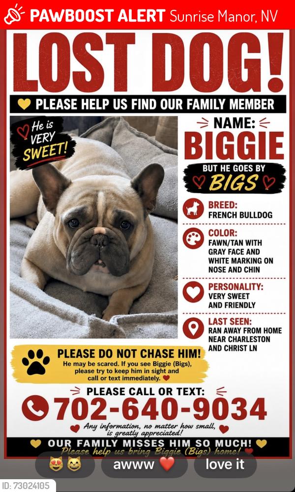 Lost Male Dog last seen Charleston and Christy ln Las Vegas NV 89110, Sunrise Manor, NV 89110