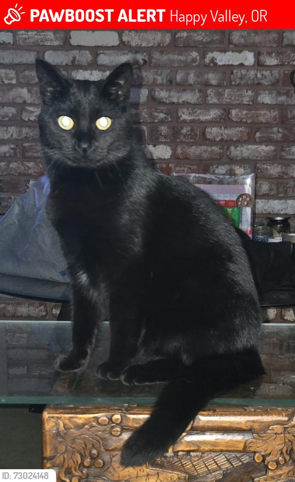 Lost Female Cat last seen Sunnyside Rd, Happy Valley, OR 97086