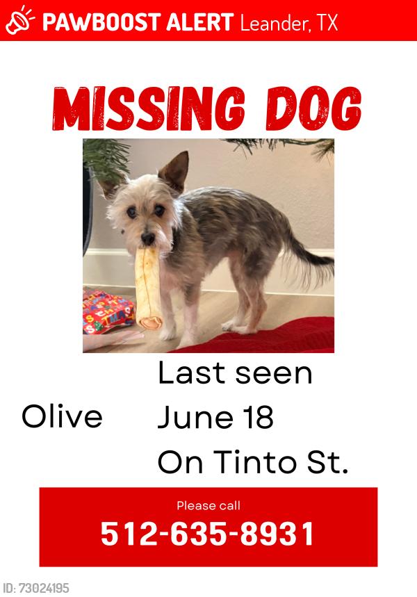 Lost Female Dog last seen Tinto st and cayma street Leander , Leander, TX 78641