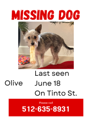 Lost Female Dog last seen Tinto st and cayma street Leander , Leander, TX 78641
