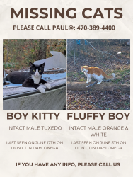 Lost Male Cat last seen Lion Ct. Dahonega, GA, Dahlonega, GA 30533