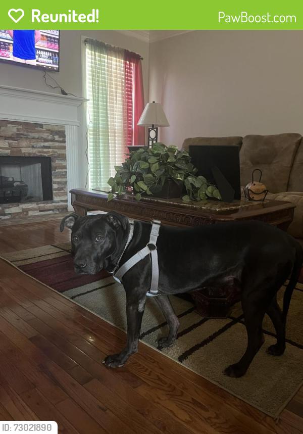 Reunited Male Dog last seen Blacks Bluff Rd, Rome, GA 30161