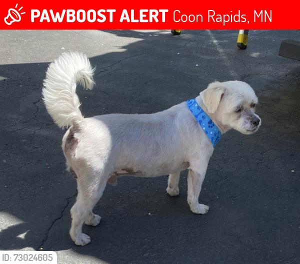 Lost Male Dog last seen Unity st nw coon rapids , Coon Rapids, MN 55433