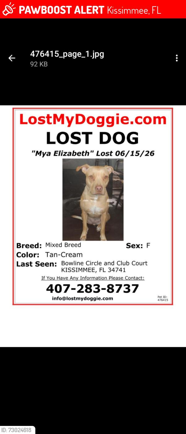 Lost Female Dog last seen Bowline circle , Kissimmee, FL 34741