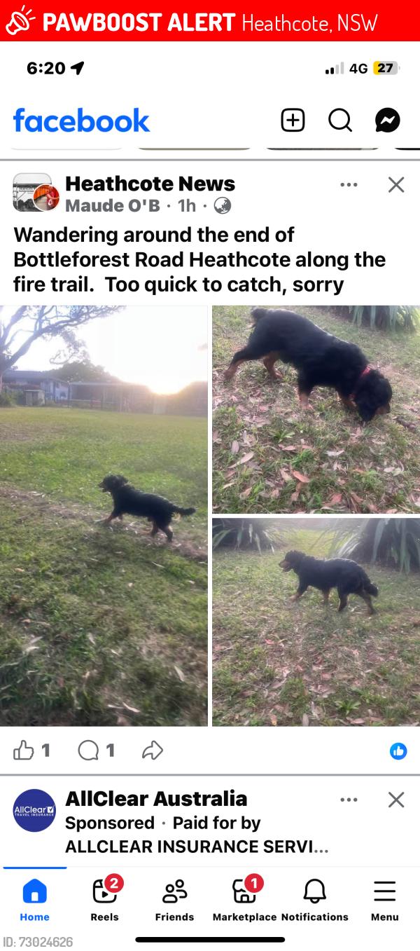 Lost Male Dog last seen Bottle forest carpark, Heathcote, NSW 2233
