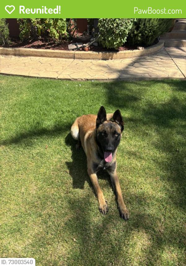 Reunited Male Dog last seen Curren school, Oxnard, CA 93030