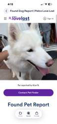 Found/Stray Male Dog last seen PV Drive West and Via Corta, Palos Verdes Estates, CA 90274
