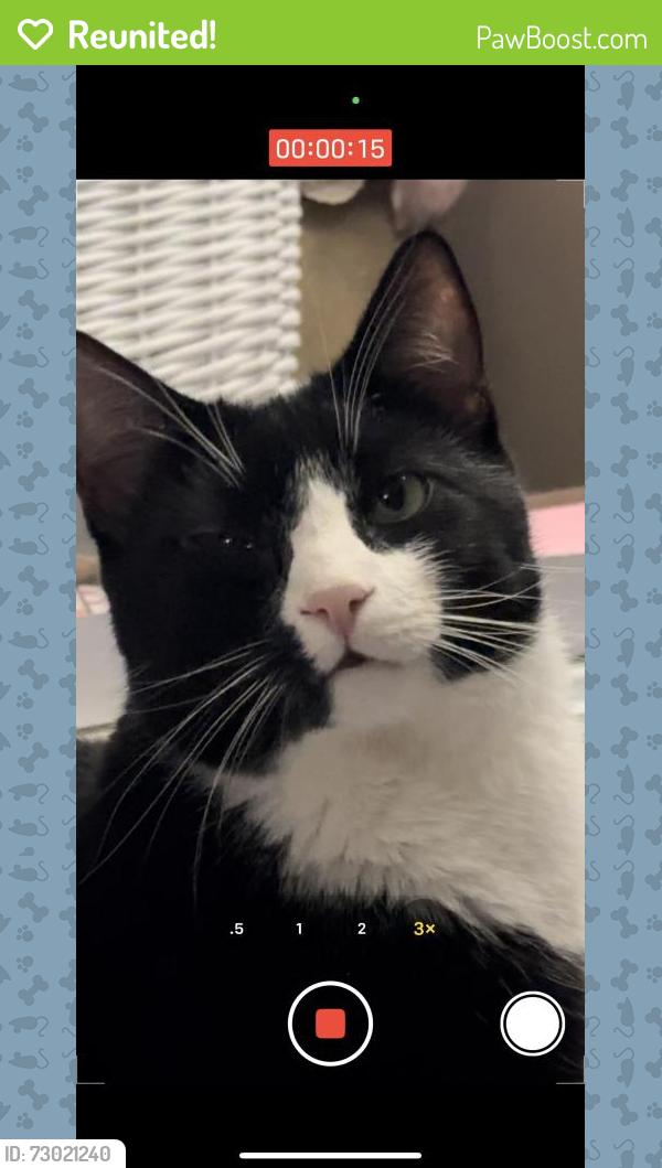 Reunited Male Cat last seen UPMC hospital, Hanover, PA 17331