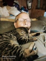 Lost Male Cat last seen Deer Run Rd, Elgin, SC 29045