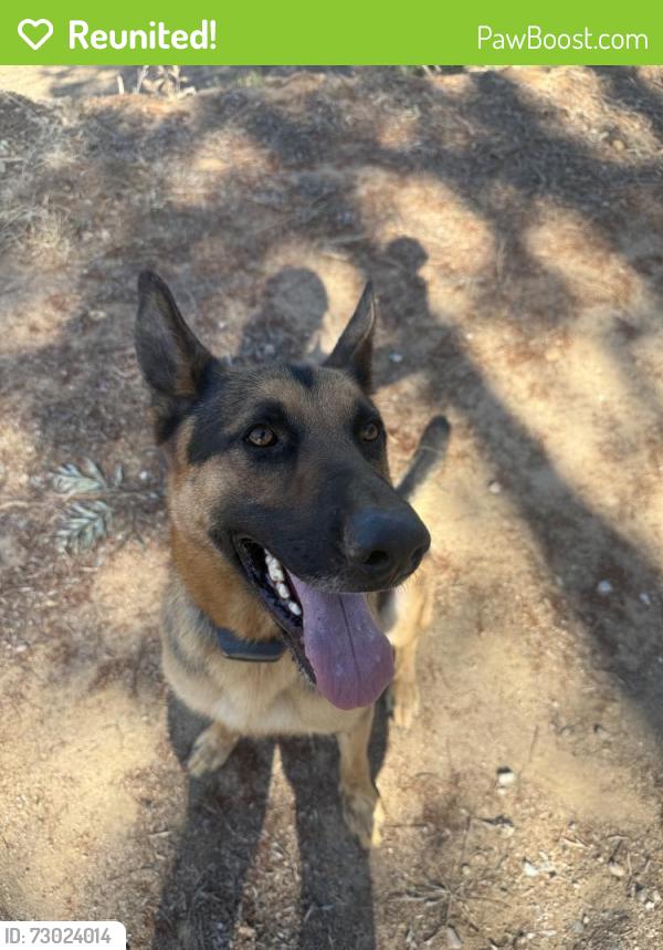 Reunited Male Dog last seen Ramona, CA 92065, USA, Ramona, CA 92065