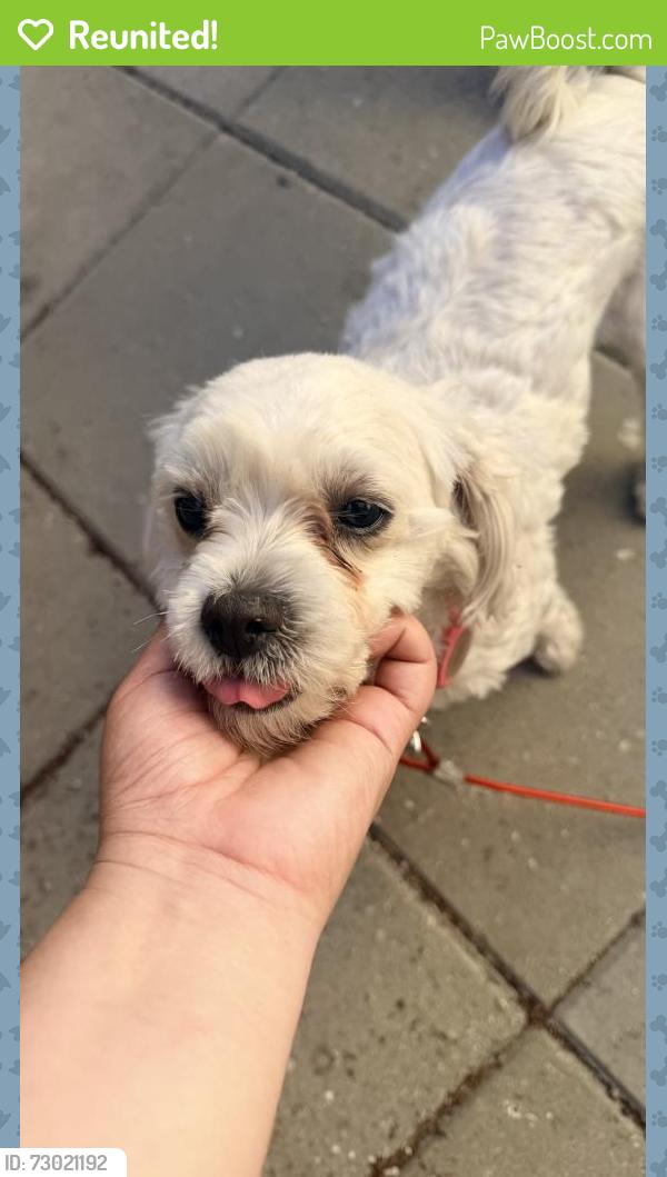 Reunited Female Dog last seen Salt lake park, Huntington Park, CA 90201