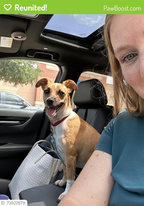 Reunited Female Dog last seen In parking lot of Dr. Dang’s office, Arlington, TX 76015