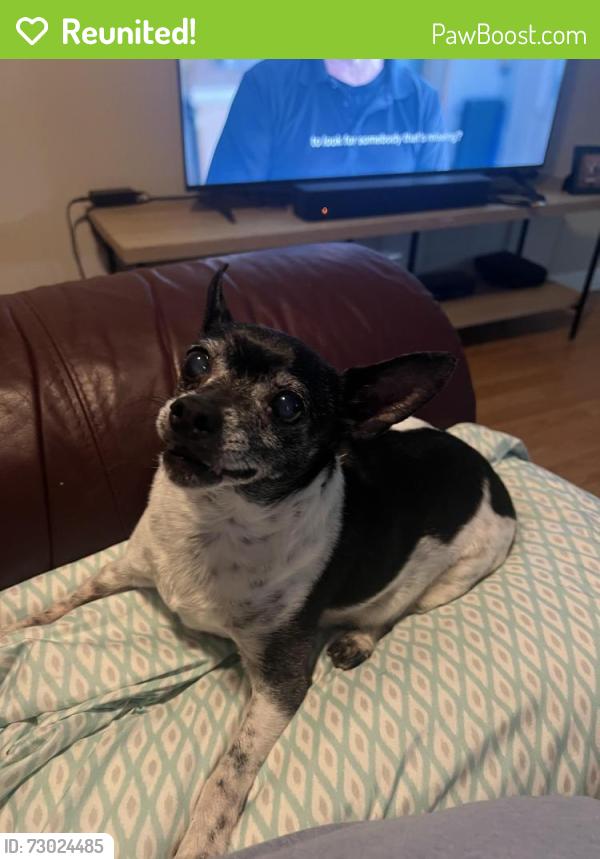 Reunited Male Dog last seen Old Cowan road, Acworth, GA 30101