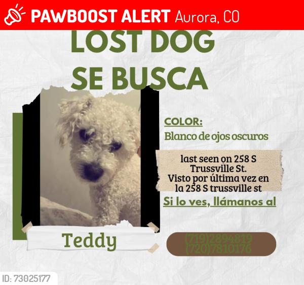 Lost Male Dog last seen Near s trusvell, Aurora, CO 80018