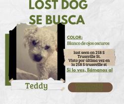 Lost Male Dog last seen Near s trusvell, Aurora, CO 80018