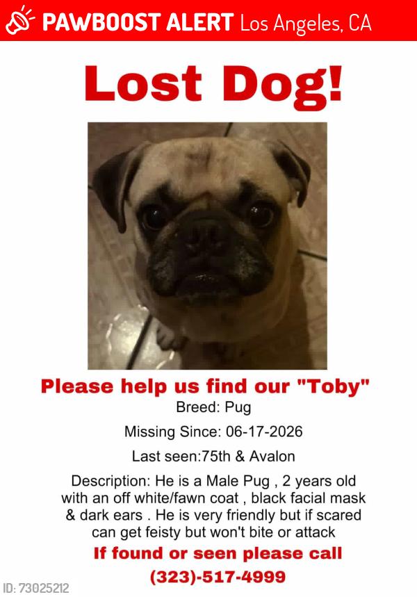 Lost Male Dog last seen Florence and Avalon , Los Angeles, CA 90003