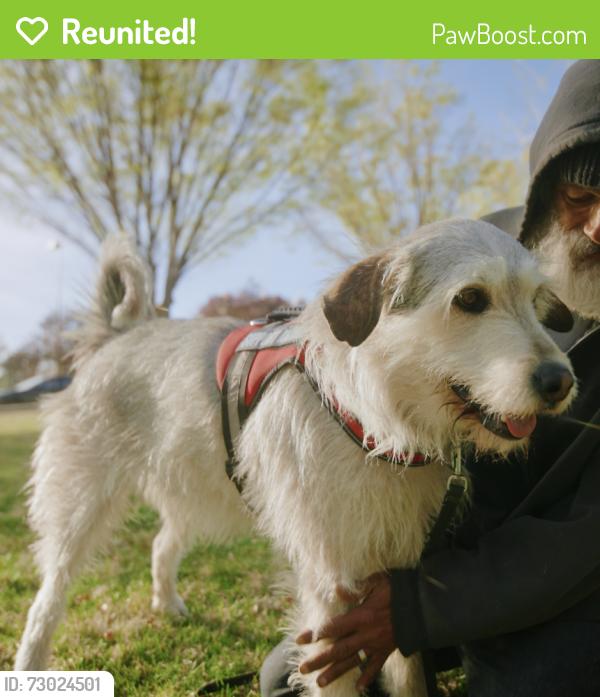 Reunited Male Dog last seen Memory Grove Park, switchback entrance near A St and 8th Ave, Salt Lake City, UT 84103