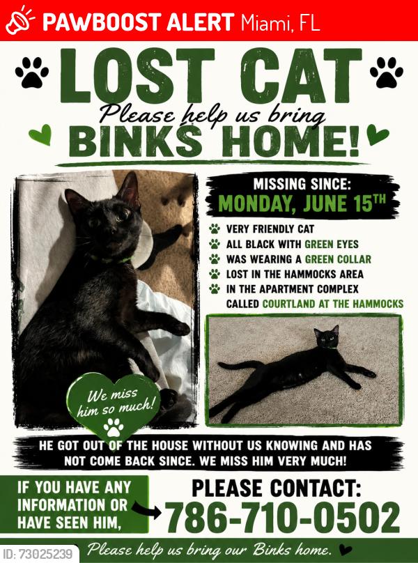 Lost Male Cat last seen Courtland at the hammocks , Miami, FL 33196