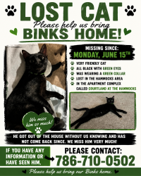 Lost Male Cat last seen Courtland at the hammocks , Miami, FL 33196