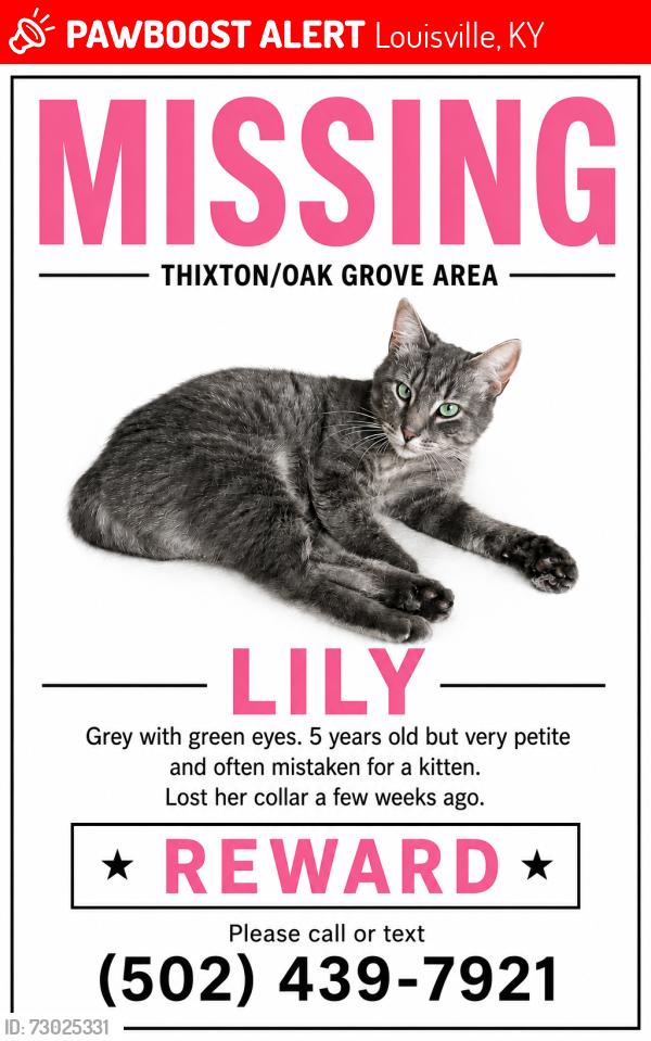 Lost Female Cat last seen Boot leg barbecue, Thixton road, Oak grove road , Louisville, KY 40291