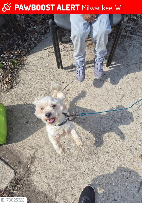 Lost Male Dog last seen Villard st, Milwaukee, WI 53218