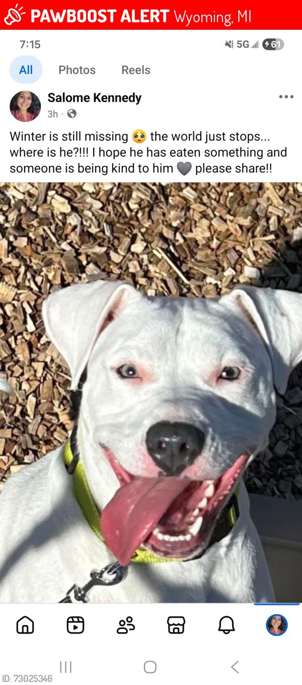 Lost Male Dog last seen 48th street and division , Wyoming, MI 49548